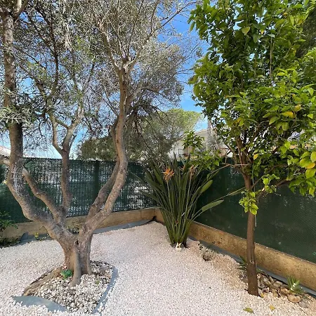 Séduisant T3 Avec Jardin 10 Proche Le Lavandou