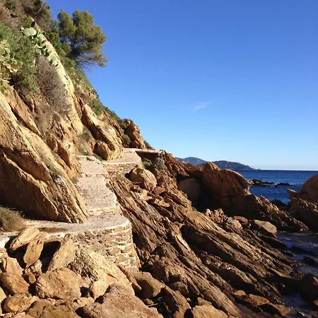 Seduisant T3 Avec Jardin 10 Proche Apartment