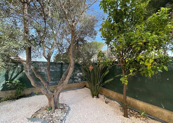 Seduisant T3 Avec Jardin 10 Proche Le Lavandou